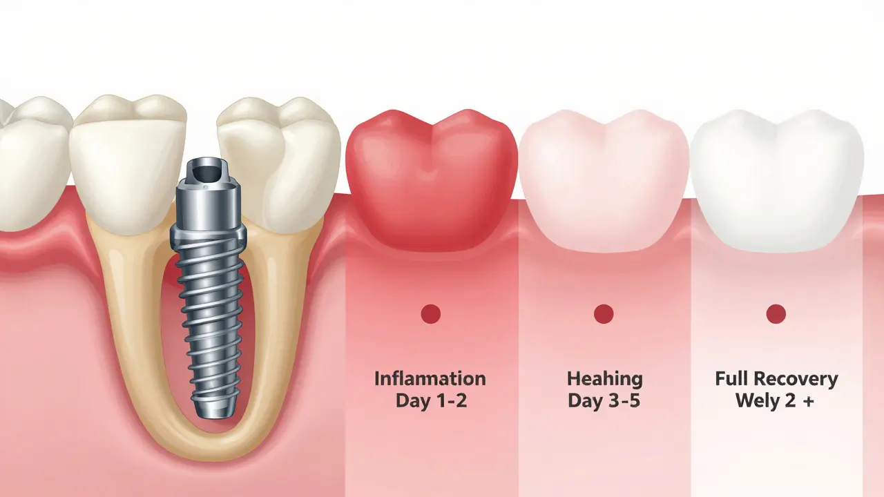 Schéma hojení kosti kolem zubního implantátu po operaci